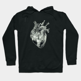 Anatomical Drawing of a Human Heart Hoodie